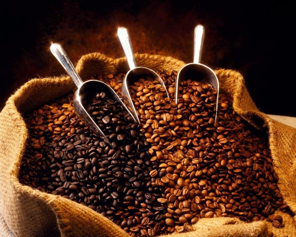 Café robusta – Image 2